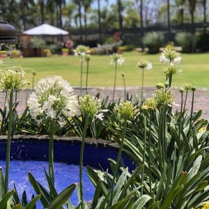 Terraza Las Fuentes