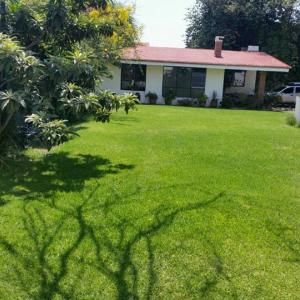 terraza jardin san rafael