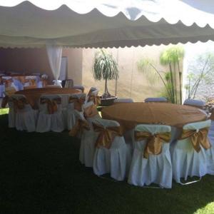 Brisa Eventos