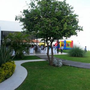 Terraza Frevo