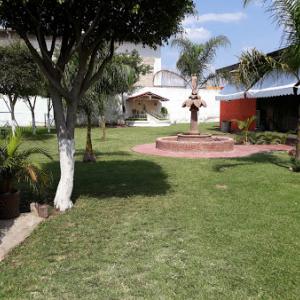 Terraza Las Palmas