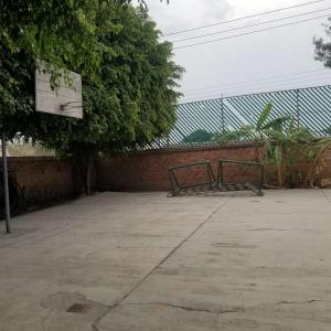 Terraza Florecita