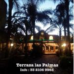 Terraza Las Palmas