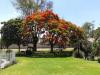 terraza jardin san rafael